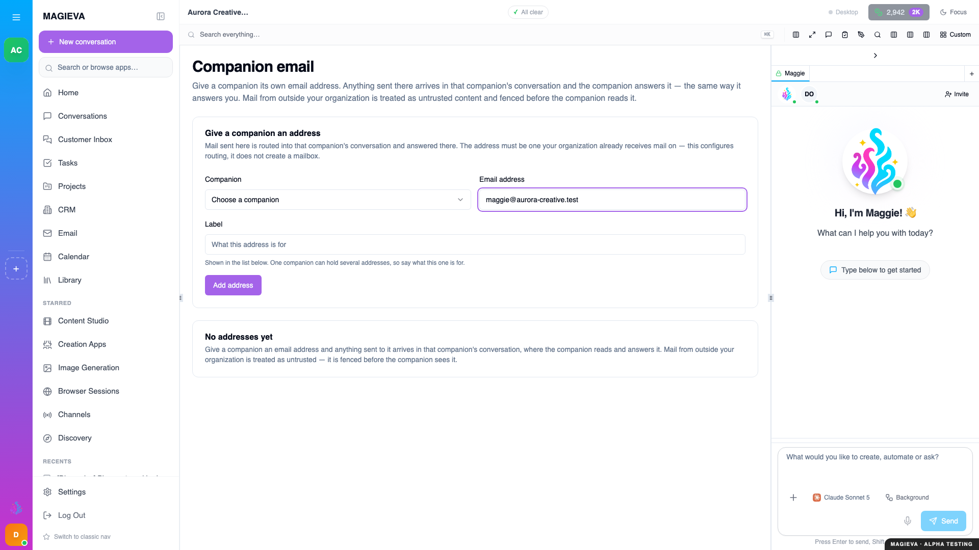 Step 4 — the address form with the email entered and the companion still to be chosen, at 1920×1080